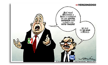 Vergonzoso